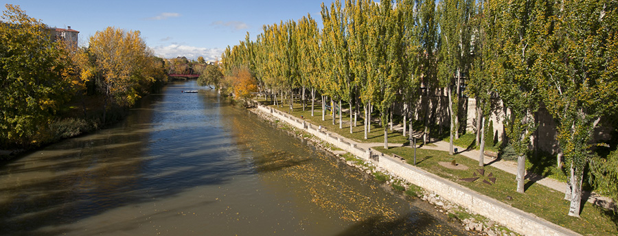 10 pistas para una escapada a Aranda de Duero